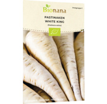 Bionana Pastinaken White King Saatgutpackung