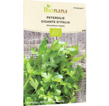 Bio Petersilie, Gigante d'Italia, einjährige Kräutersamen