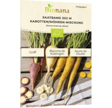 Bio Saatband Karotten Mischung Gniff, Blanche de Küttingen, Jaune du Doubs Gemüsesamen