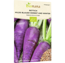 Bio Rettich Hilds Blauer Herbst und Winter Gemüsesamen