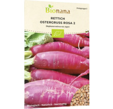 Bionana Rettich Osterruss Rosa 2 Samenfeste Sorte