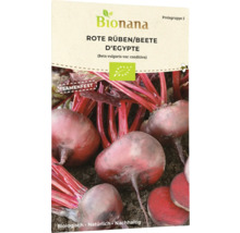 Rote Beete D'Egypte Gemüsesamen