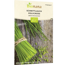 Bio Schnittlauch Polycross Kräutersamen