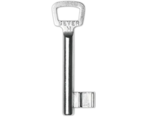 Ein Bartschlüssel aus Metall