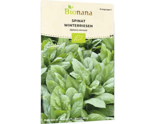 BIO Spinat Samen Winterriesen Blattspinat Gemüse W Produktbild-Vorschau 2