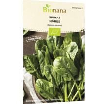 Bionana Spinat Nores Samenpackung
