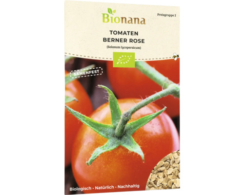 Bio Tomate Fleischtomate Berner Rose Gemüsesamen