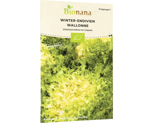 Winter-Endivien Saatgut 'Eminence' - Schnelle, Robuste Sorte Für Ganzjährigen Anbau (400 Korn)