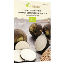 Bionana Winterrettich, runde schwarze Winterrettichsamen