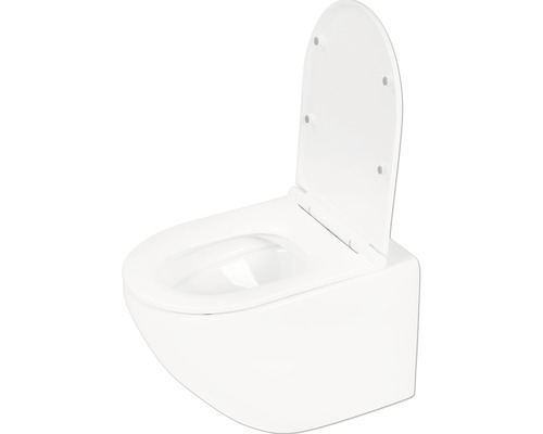 Differnz Wand-WC Set WC Tiefspüler ohne Spülrand weiß glänzend mit WC-Sitz 38.500.04