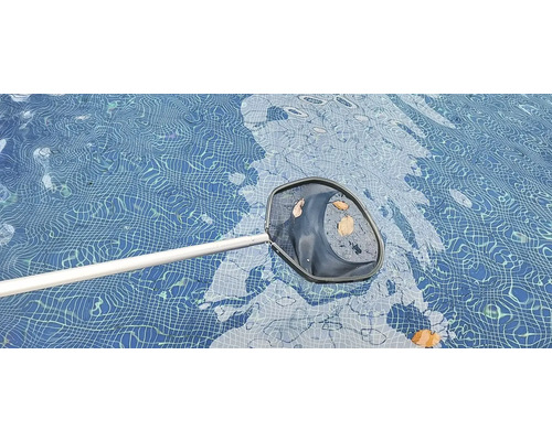 Poolkescher mit Blättern im Schwimmbecken