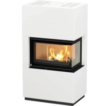 Kaminofen mit Brennkammer und Holzfeuer