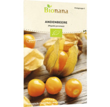 Bio Andenbeere Schönbrunner Gold Gemüsesamen