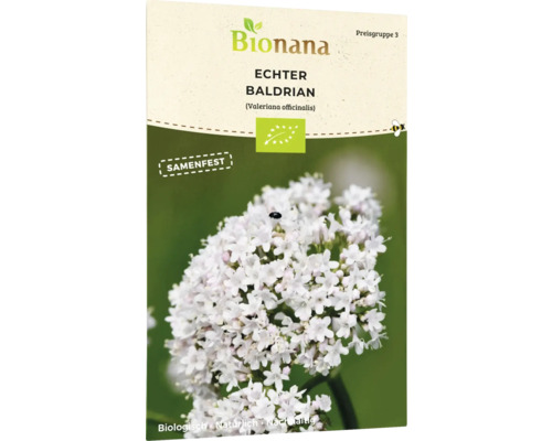 Bio Wildblume Echter Baldrian Blumensamen