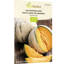Bio Zuckermelone Petit gris de Rennes Gemüsesamen