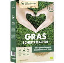 Samenmaier Grassamen in einer Kartonverpackung