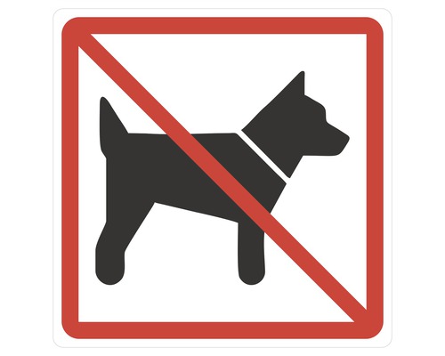 Verbotsschild "Hunde verboten" Hart PVC 100x100 mm