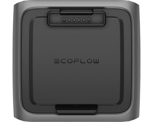 EcoFlow Logo auf einem tragbaren Kraftwerk
