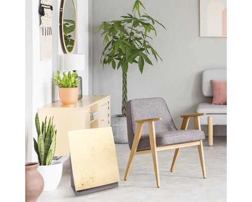 Wohnzimmer mit Sessel, Kommode, Pflanzen und Dekorationen für ein helles und organisiertes Ambiente.