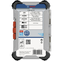 Bosch Pro Bitset mit verschiedenen Schrauberbits