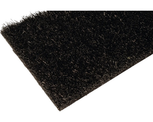 Kunstrasen Expo mit Drainage 20 mm schwarz 400 cm breit (Meterware) Kunstrasen Expo mit Drainage 20 mm schwarz 400 cm breit (Meterware)