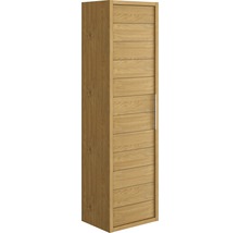 Hochschrank aus Holz mit einer Tür und einem Griff