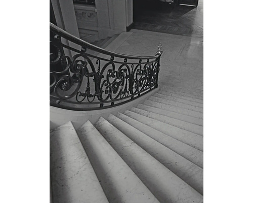 Treppe mit Marmorstufen und kunstvollem Geländer