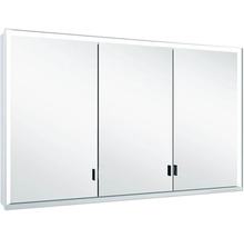 Tür KEUCO Royal Lumos silber matt 90101010154 rechts