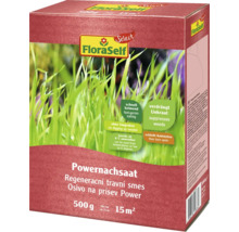 FloraSelf Power Nachsaat, 500 Gramm, für 15 Quadratmeter
