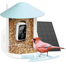 Vogelhaus mit Kamera, Vogelfutter, Solarpanel und einem Kardinalvogel