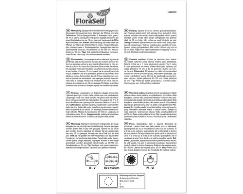Informationen zur Spargelpflanze mit Pflanzanleitung und Pflanzenpass