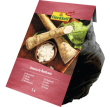 Verpackung Meerrettich von FloraSelf