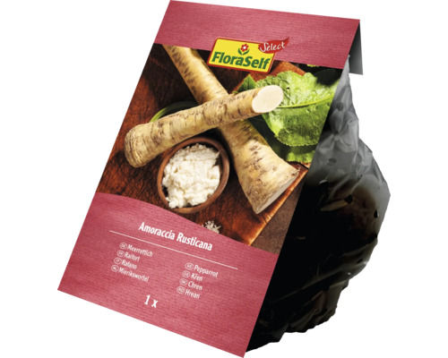 Verpackung Meerrettich von FloraSelf