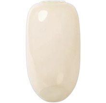 Ovale Vase aus Glas