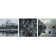 Leinwandbild Schneelandschaft 3er-Set 3x 50x50 cm