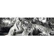 Dekoratives Bild eines Tigers mit auffälligen Augen vor Waldkulisse