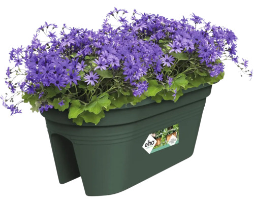 Blumenkasten elho Green Basics Flower Bridge Kunststoff | HORNBACH