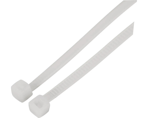 Zwei Kabelbinder aus Kunststoff