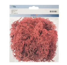 Verpackung Islandmoos in Rot, 50 Gramm