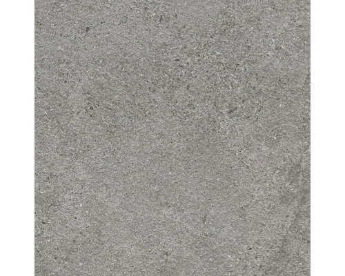 Graue Fliese mit gesprenkelter Oberfläche