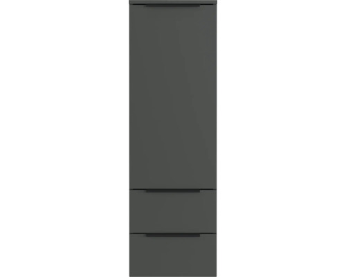 Hochschrank mit Tür und zwei Schubladen