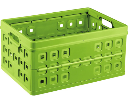 Faltbox aus Kunststoff mit Tragegriffen