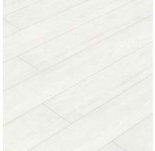 Handmuster Laminat Masterfloor 8.0 Kiefer Kodiak 34308 AT