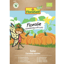 Kürbis Solor Floraself Floralie & Flo Samenfestes Saatgut Gemüsesamen