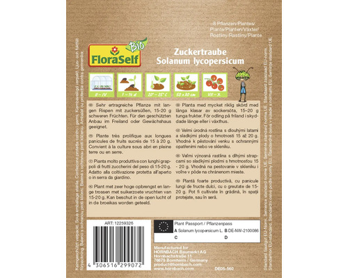 Zuckertraube Solanum lycopersicum Pflanzenbeschreibung