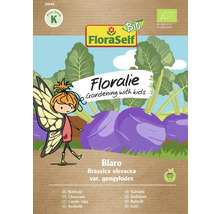 Kohlrabi Blaro Floraself Floralie & Flo Hybrid-Saatgut Gemüsesamen