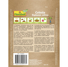 Celesta Radieschen Samenband von FloraSelf, Raphanus sativus