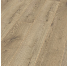 Handmuster Laminat 10.0 Eiche Dezent