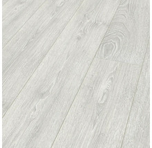 Handmuster Laminat 12.0 Capital Oak light Langdiele