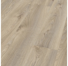 Handmuster Laminat 12.0 Makro Eiche beige